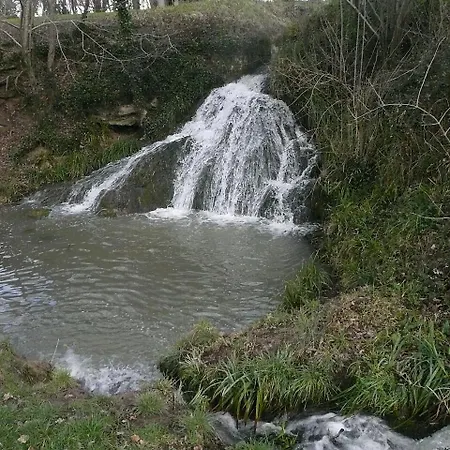 ベッド・アンド・ブレックファスト Cote Jardin Parc Saint Martin