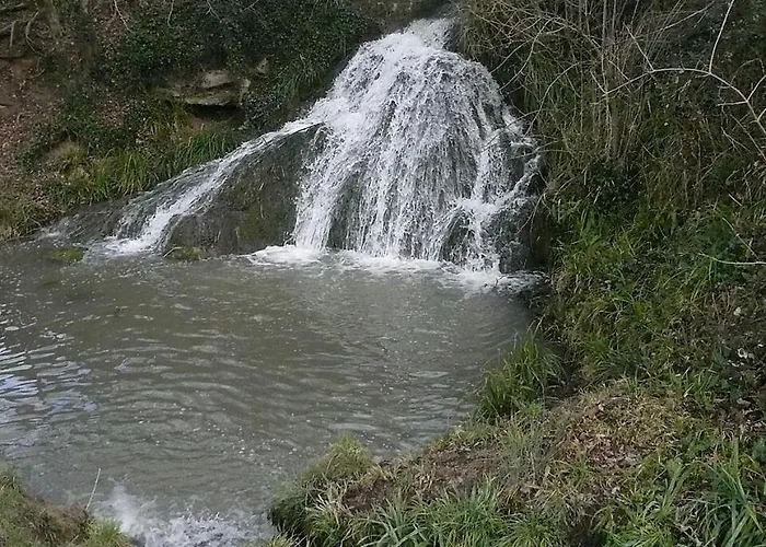 Frühstückspension Cote Jardin Parc Saint Martin